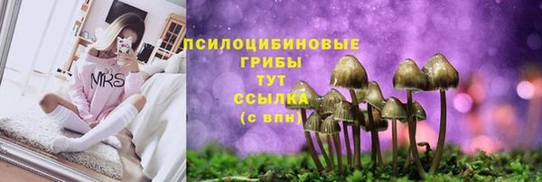 ALPHA-PVP Арсеньев